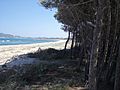 Spiaggia isula manna - marina di Lotzorai