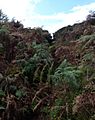 Tappoch broch entrance 093010