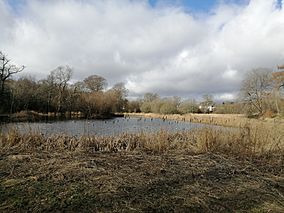 TrottickPonds1March2021.jpg