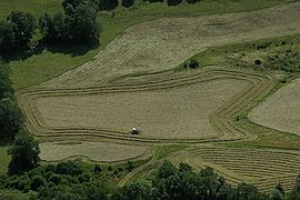 Vallée de la Maronne, fenaison