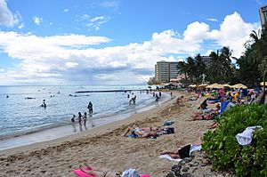 Waikiki 2 Oahu Hawaii Photo D Ramey Logan