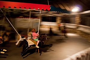 Watch Hill carousel