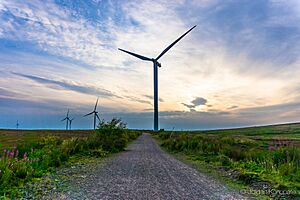 Whitelee Windfarm At Sunset (121441555)