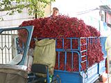 Wuhan-pepper-truck-0138