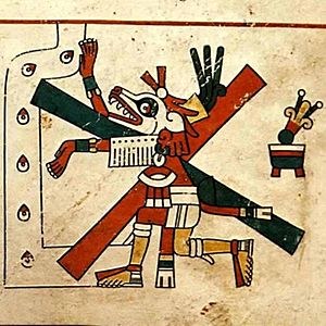 Xolotl 1