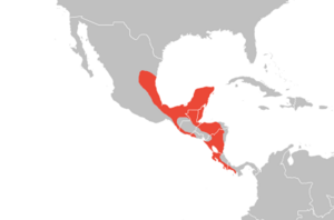 Yellow-throated Euphonia range map.png