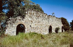 Yengarie Sugar Refinery ruins (2002).jpg