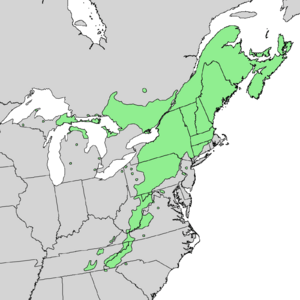 Acer pensylvanicum range map.png