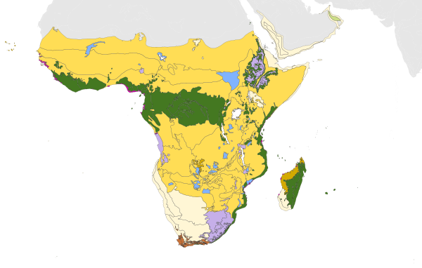 Afrotropical biomes