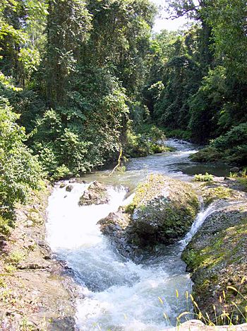 Allyn River cataract.jpg