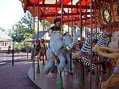 Audubon Zoo Elephant Ride