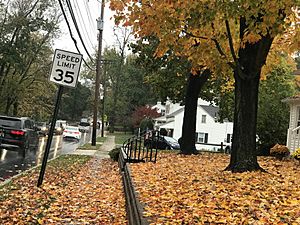 Autumn Foliage in Middletown