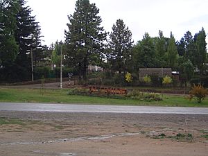 Ciudad de Alumine Neuquen.JPG