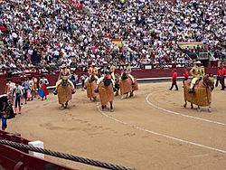 CorridaTorosDesfile