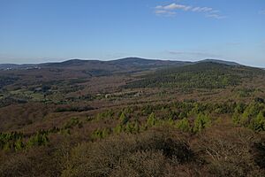 Eichkopf vom Atzelberg aus gesehen