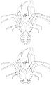 Eocarcinus reconstructon