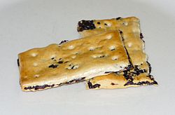 Garibaldi biscuit.jpg