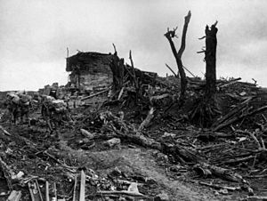 Gibraltar bunker Pozieres (AWM EZ0098)