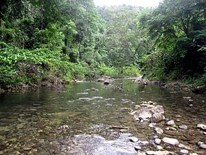 GuadalcanalRiver