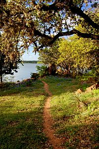 Inks Lake