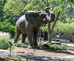 Jumbo statue at Tufts University