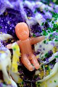 King Cake Baby