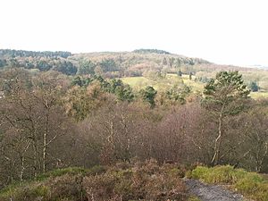 Lickey Hills.jpg