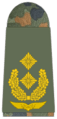 Luftwaffe-321-Generalmajor