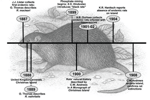 MaclearsRat-PLoSOne