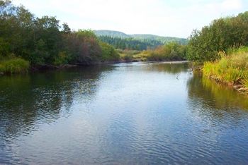 Margaree river sm.jpg