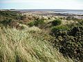 Monifieth links