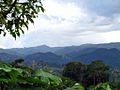 Mountain view PR-129 in Piletas, Lares, Puerto Rico