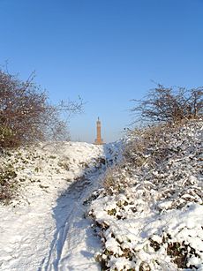 Mountsorrel view