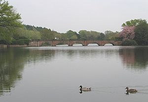 Ornamental lake, Capesthorne Hall - geograph.org.uk - 416960