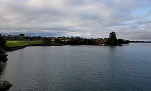 Point England, Auckland