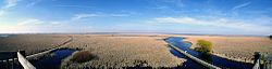 Pt Pelee Marsh Boardwalk