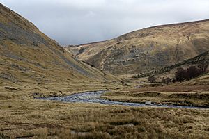 River Findhorn near Coignafearn Lodge - geograph.org.uk - 1183575