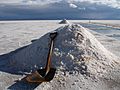 Salinas grandes-pala oxidada