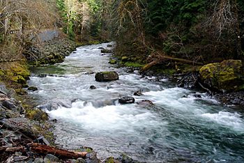 Sol Duc River.jpg