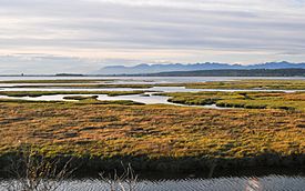 Southern BC coast from train.jpg