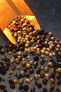 Soybeanvarieties