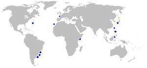 Squaliolus laticaudus distmap.png