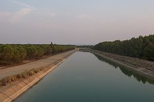 Trasvase Tajo-Segura por Albacete