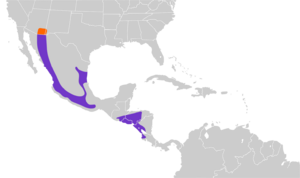 Trogon elegans map.svg