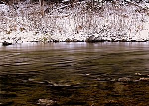 Truckee River, 25 November 2006