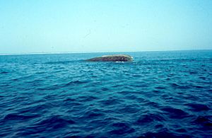 USS Massachusetts, BB-2, wreck