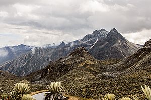 Valle de Mifafí 4