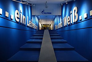 Veltins-Arena Spielertunnel 2011-08-03