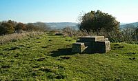 Viewpoint on Walton Hill