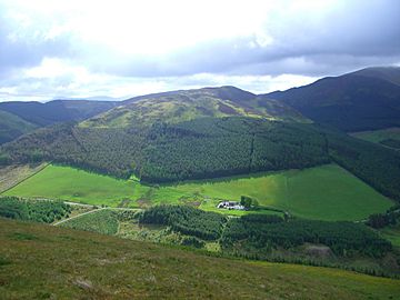 Whinlatter from Graystones 5.jpg